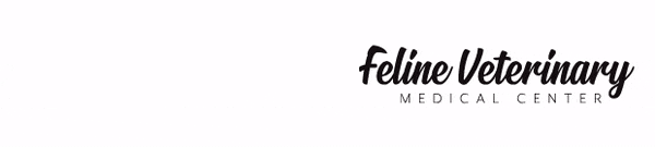 Feline Veterinary Medical Center